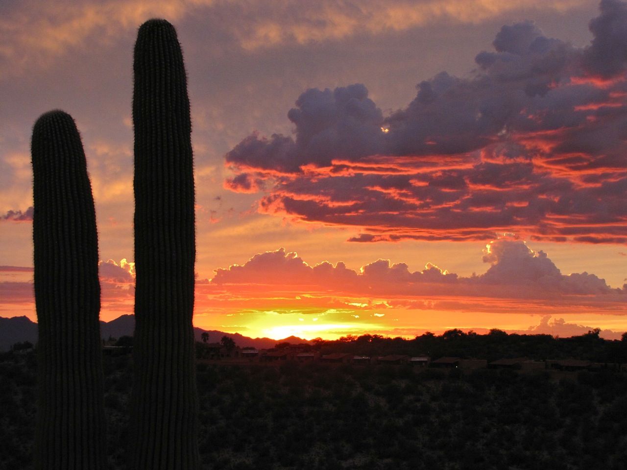 Beautiful Arizona sunsets